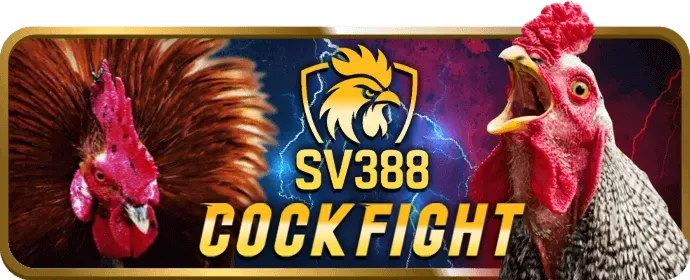 Hỗ trợ và FAQ về khuyến mãi fabet88 app
